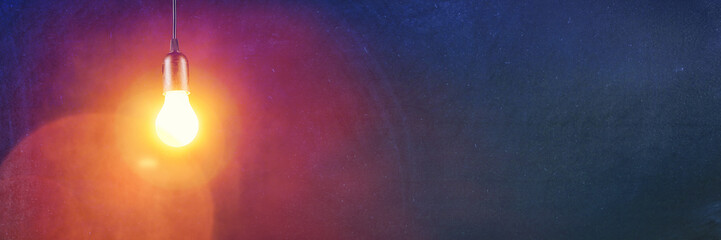 鲸鱼到底是怎样从陆地四肢动物下海进化而来？