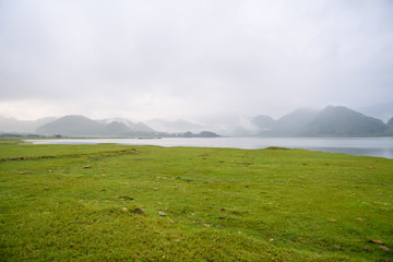 鲸鱼到底是怎样从陆地四肢动物下海进化而来？