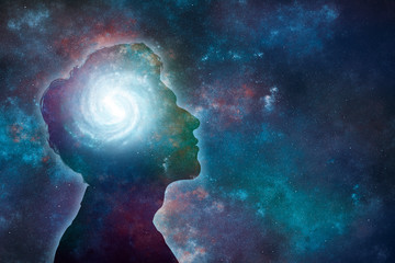 鲸鱼到底是怎样从陆地四肢动物下海进化而来？