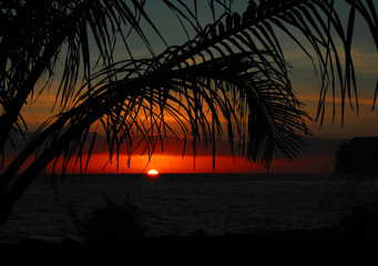 巫师3二周目鼠李草怎么扔