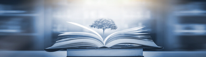 巫师3二周目鼠李草怎么扔