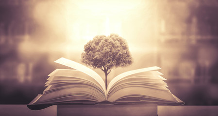 安徽一次性就业补贴申请条件