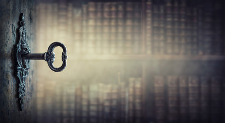 深圳哪里有摘草莓的地方？