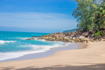 鲸鱼到底是怎样从陆地四肢动物下海进化而来？