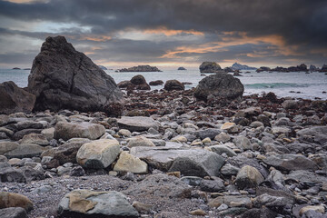 巫师3二周目鼠李草怎么扔