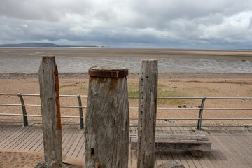 深圳哪里有摘草莓的地方？