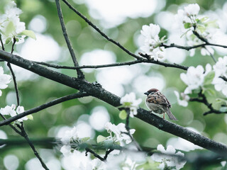 历史上哪个守城将领最值得称颂？