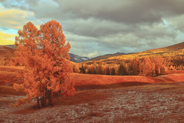 三一重机有限公司的发展