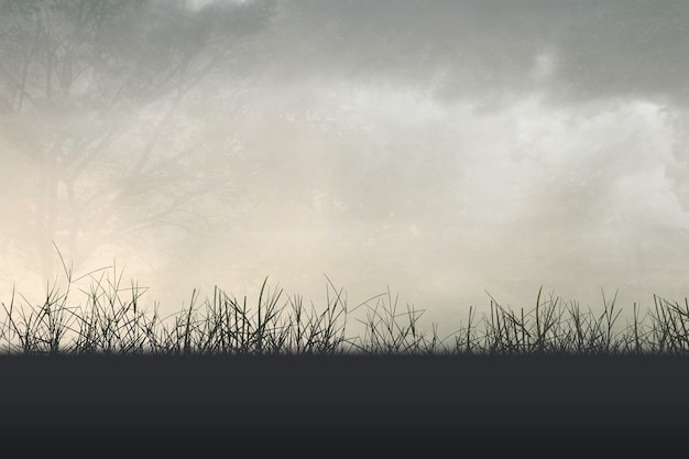 三一重机有限公司的发展