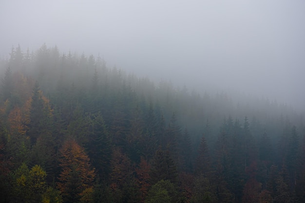 大营镇属于哪个省哪个市？