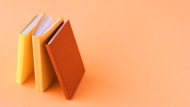 女生成考大专学什么专业好 怎么选择