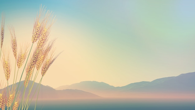 女生成考大专学什么专业好 怎么选择