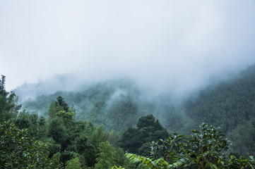 大营镇属于哪个省哪个市？